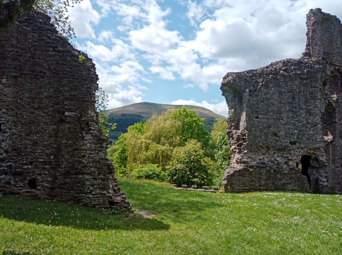 Slow Train Coming Cardiff u3a